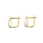 Image 4 of Bicolor gold stud earrings with zirconia