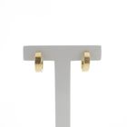 Image 1 of Gold matte earrings | Ø 14.5 mm