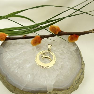 Gold zodiac sign pendant; Capricorn Image 2 of Gold zodiac sign pendant; Capricorn