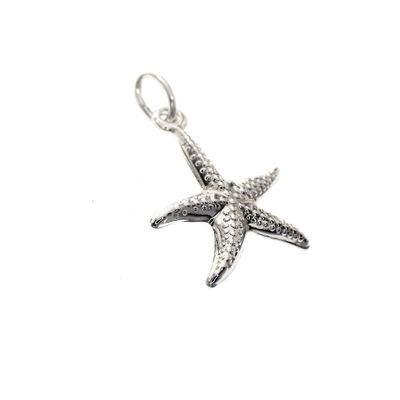 Image 2 of Silver charm; Starfish