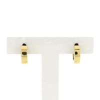 Gold earrings; Ø 13.5