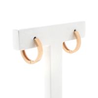 Gold earrings | Ø 11.3 mm
