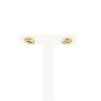 Gold Earrings with Zirconia