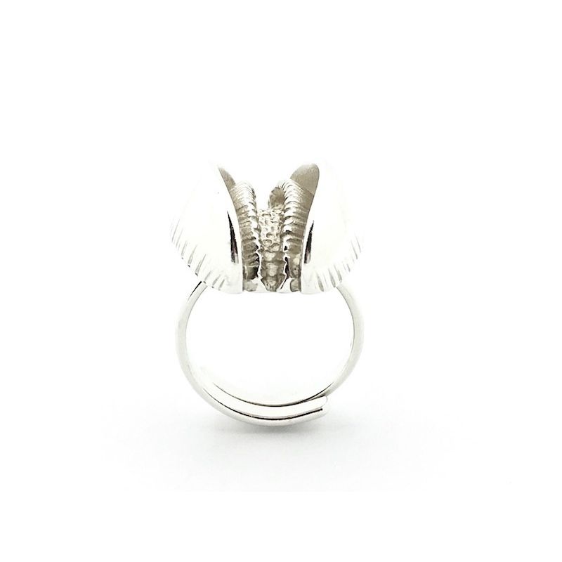 Image 10 of Silver fantasy ring