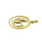 Image 5 of Gold zodiac sign pendant; Aquarius