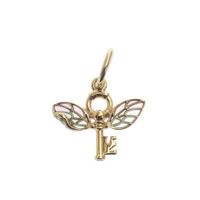 Pandora x Harry Potter charm pendant; Gold Plated; Winged Key