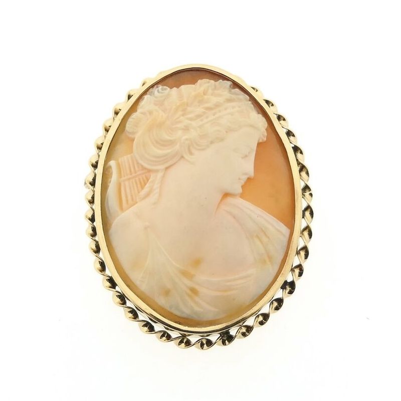 Image 1 of 8 carat brooch with cameo