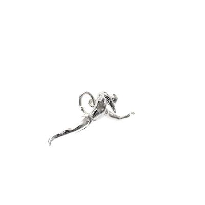 Silver charm; Swimmer 2 Image 2 of Silver charm; Swimmer 2