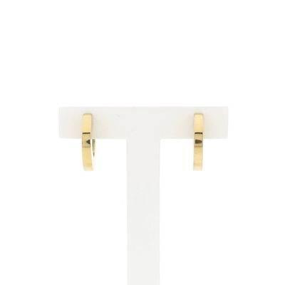 Image 1 of Gold Hoop Earrings