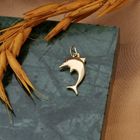 Image 9 of Golden dolphin pendant