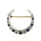 Image 1 of 9 carat brooch with sapphire and diamond; 0.34 ct.