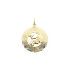 Image 1 of Gold zodiac sign pendant; Virgo