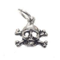 Silver charm; Skull