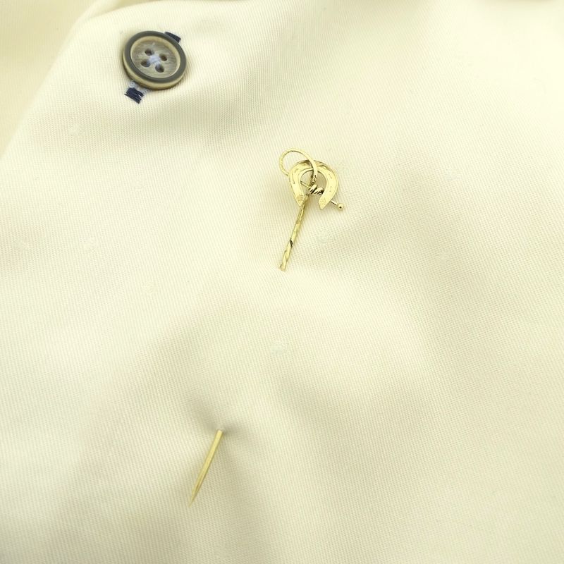 Image 7 of Gold lapel pin, horseshoe tie pin with whip