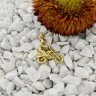 Afbeelding 2 van Gouden hanger van een motorcrosser