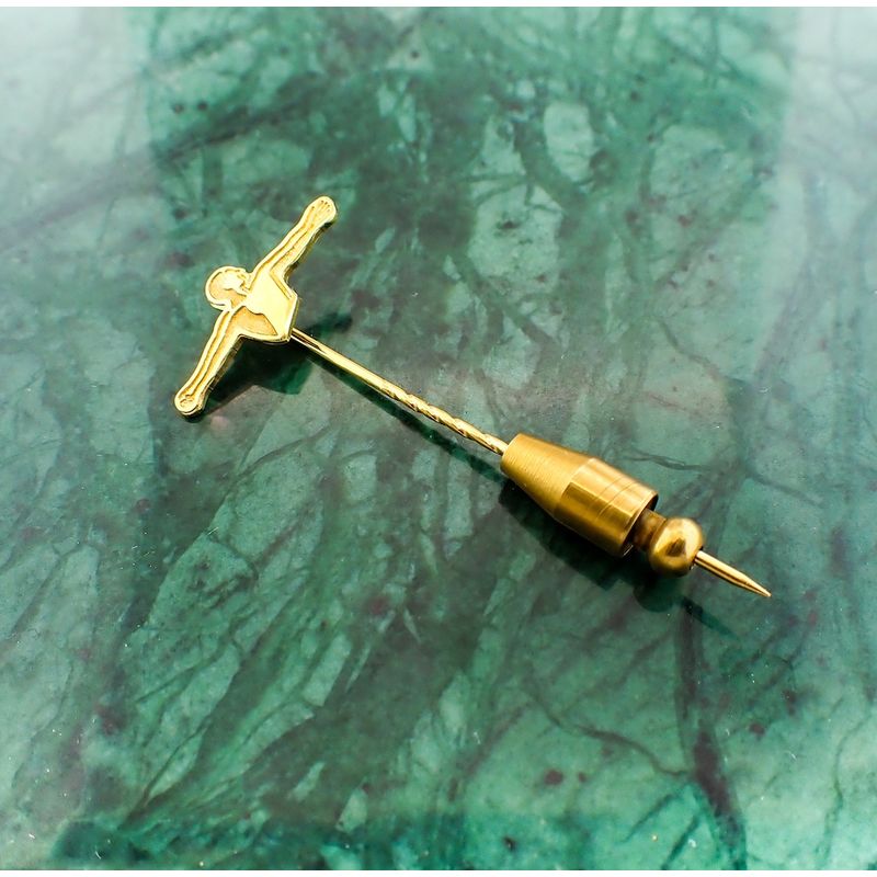 Image 2 of Gold lapel pin; Akzonobel