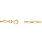 Image 8 of Gold anchor link chain/sautoir