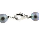Image 8 of Tahitian pearl necklace with white gold clasp | 46 cm