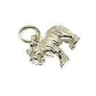Image 2 of Silver pendant of a tiger