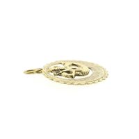 Gold zodiac sign pendant; Aquarius