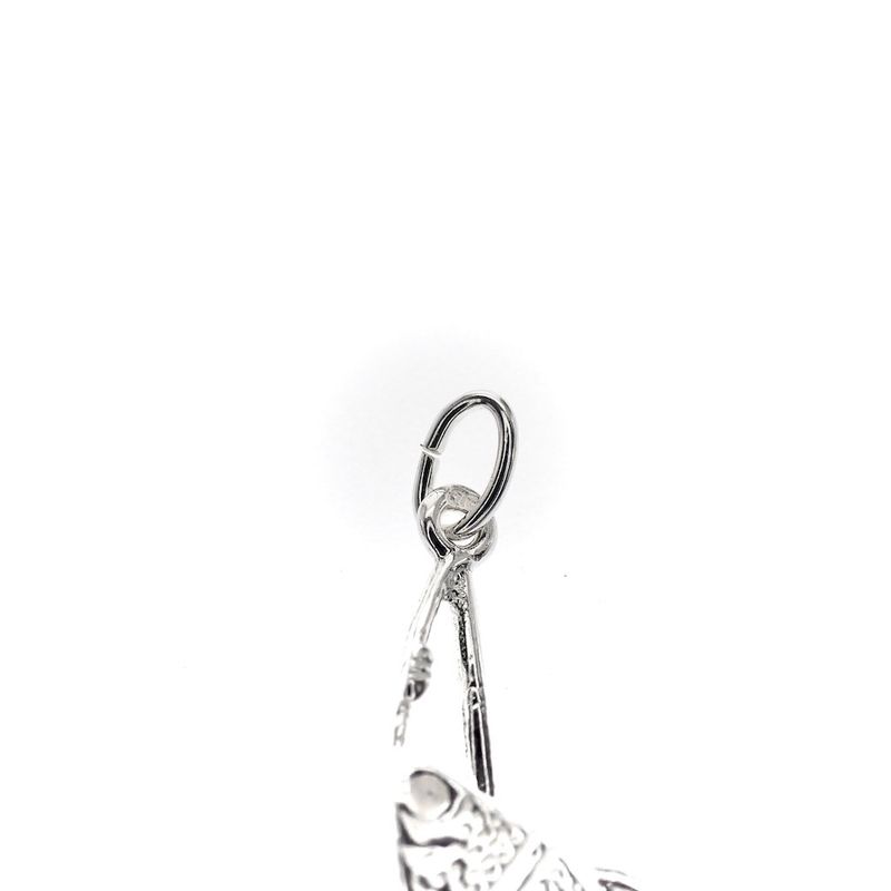 Image 4 of Silver charm; Fishing rod