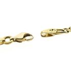 Afbeelding 4 van Gouden valkenoog schakelketting