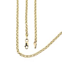 Gouden jasseron schakelketting 
