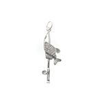Image 1 of Silver charm; Fishing rod
