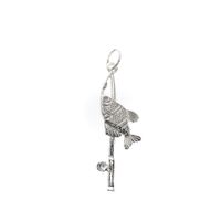 Silver charm; Fishing rod