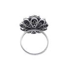 Image 5 of Silver ring with Zeeland button