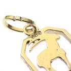 Image 5 of Gold zodiac sign pendant; Capricorn