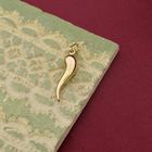 Image 9 of Gold pendant of an Italian pepper