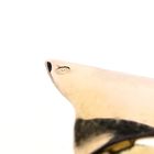 Image 7 of Vintage two-tone gold brooch as a bow