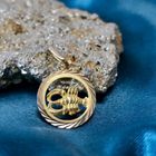 Image 2 of Gold zodiac sign pendant; Cancer