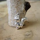 Image 2 of Silver charm; Squirrel