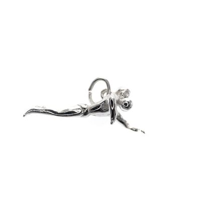 Silver charm; Swimmer 2 Image 1 of Silver charm; Swimmer 2