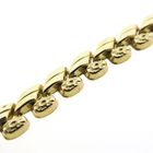 Image 3 of Golden fantasy link collie