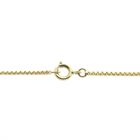 Image 4 of Golden Venetian link chain