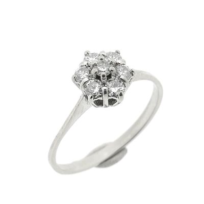 Image 1 of White gold entourage ring with diamond | 0.35 ct.