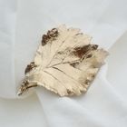 Image 4 of Silver plated brooch of a leaf