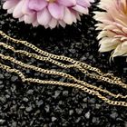 Image 2 of Gold Gourmet Link Necklace