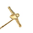 Image 5 of Golden lapel pin; AkzoNobel