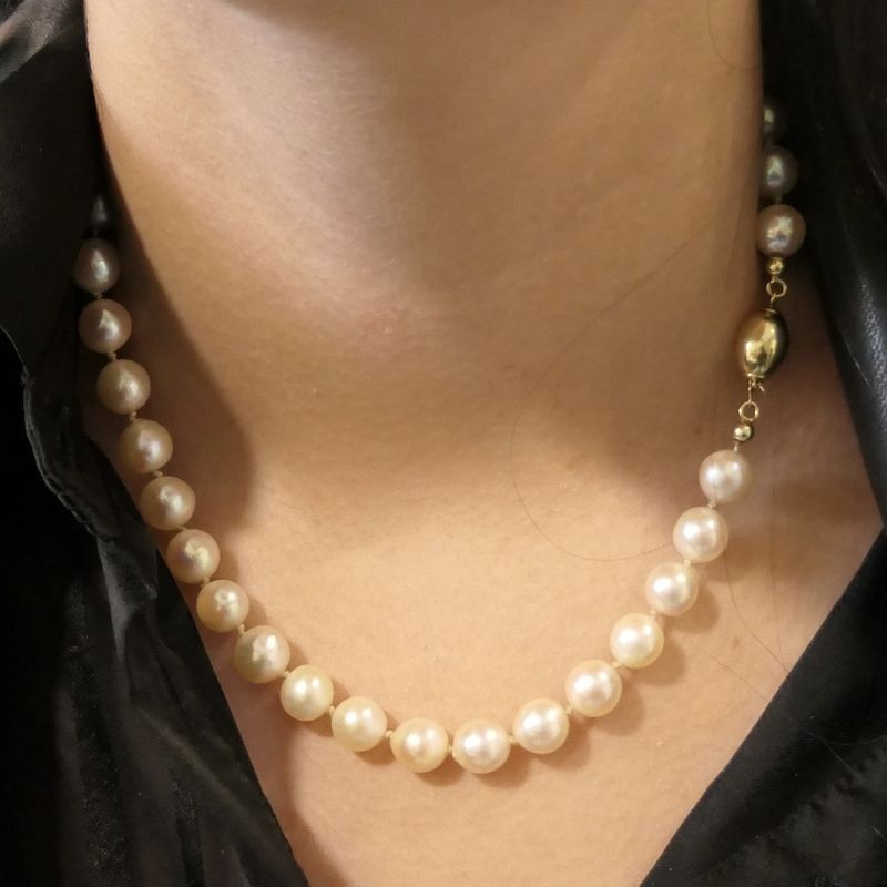 Image 8 of Pearl necklace with gold clasp | 41 cm