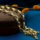 Image 2 of Gold anchor link chain | 45 cm