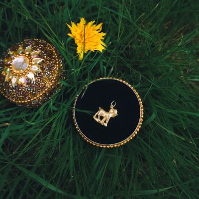 Image 2 of Gold zodiac sign pendant | Capricorn