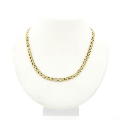 Image 1 of Golden Bismarck link necklace.