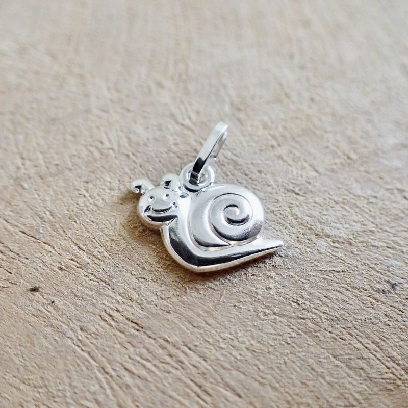 Image 6 of Silver charm; Snail