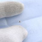 Image 7 of 0.16 ct. Brilliant cut diamond H/SI1 + HRD Certificate - Natural diamond