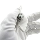 Image 7 of 8 carat pendant with Tahitian pearl and zirconia