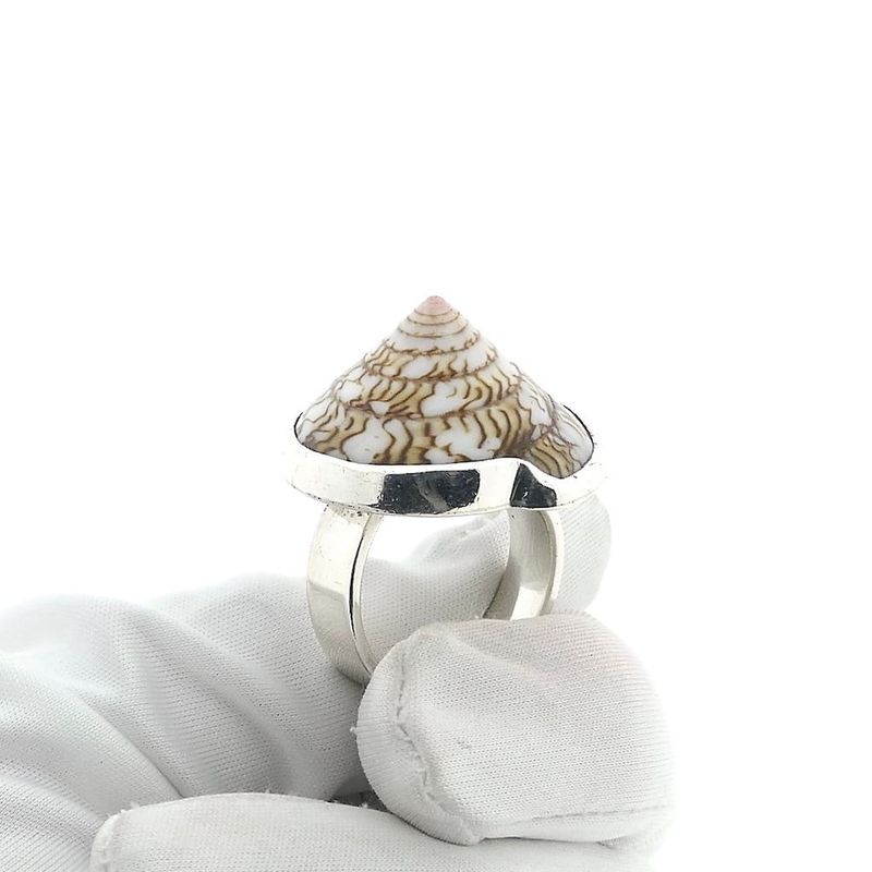 Image 7 of Silver ring with sea snail shell